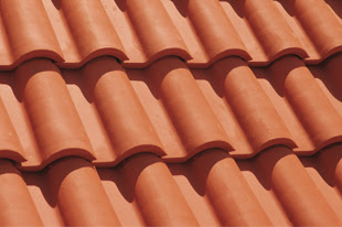 MEDITERAN CRIJEP TOGNANA